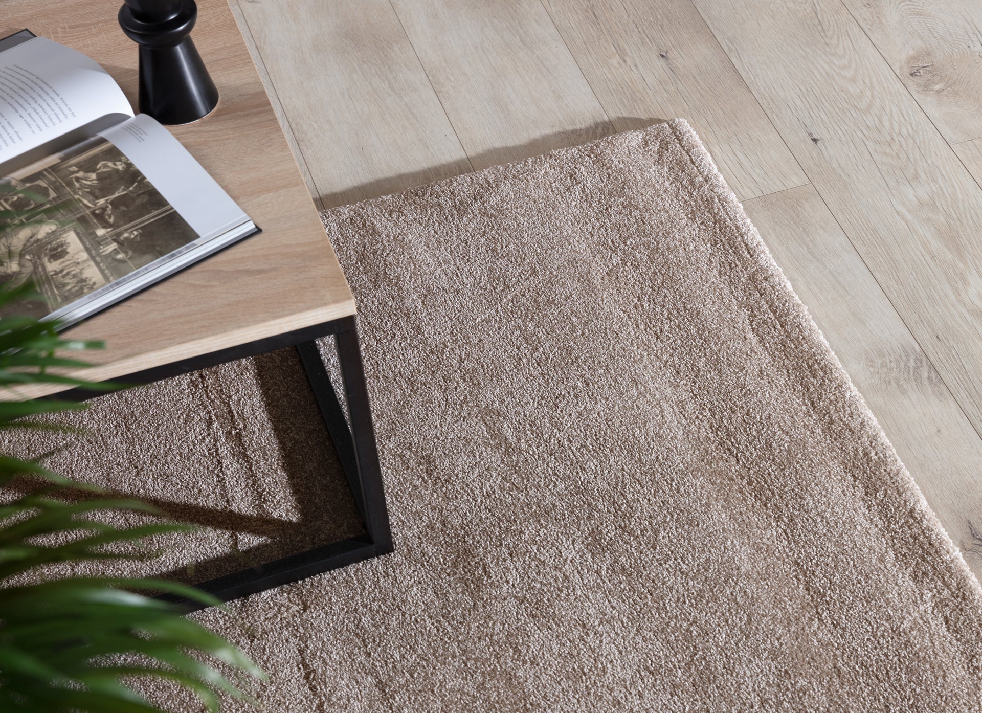 Beżowy dywan Verlice 160x230 cm ułożony przy drewnianym stoliku z otwartą książką – widoczne delikatne runo i eleganckie wykończenie krawędzi.